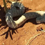 Ekran görüntüsü 2023-07-07 222723