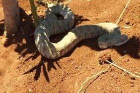 Ekran görüntüsü 2023-07-07 222723