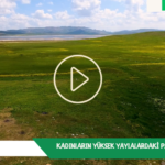 Ekran görüntüsü 2023-07-11 224810