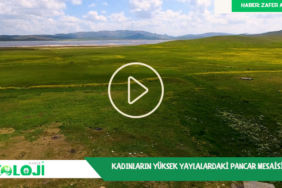 Ekran görüntüsü 2023-07-11 224810