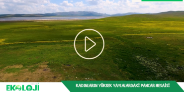 Ekran görüntüsü 2023-07-11 224810