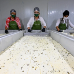 Ekran görüntüsü 2023-07-17 235642