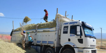 Ekran görüntüsü 2023-07-18 170707