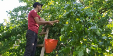 Ekran görüntüsü 2023-07-19 121741