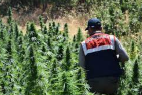 Ekran görüntüsü 2023-07-20 135439