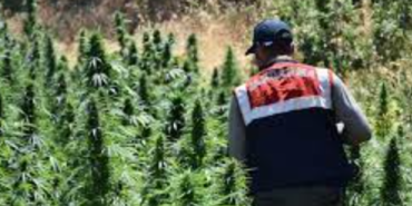 Ekran görüntüsü 2023-07-20 135439