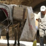 Ekran görüntüsü 2023-07-21 102122