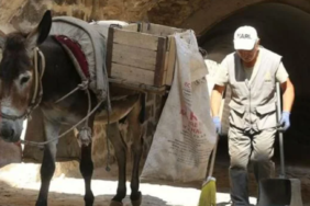 Ekran görüntüsü 2023-07-21 102122