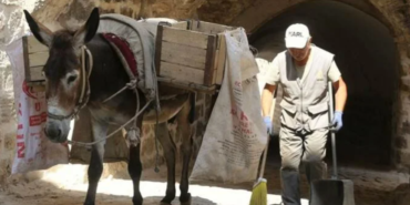 Ekran görüntüsü 2023-07-21 102122