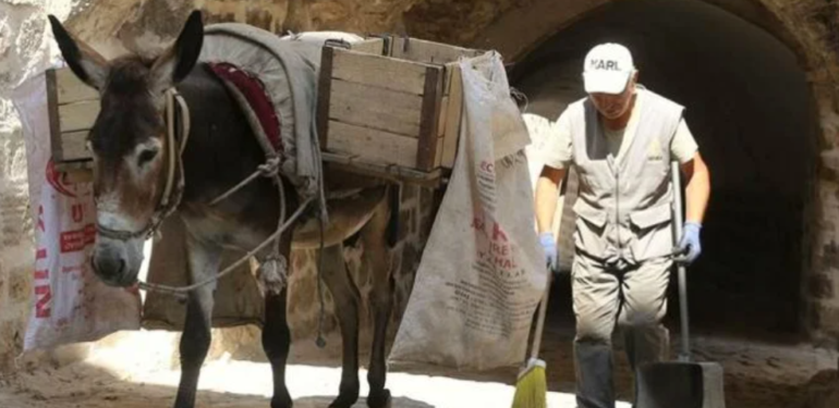 Mardin’de kadrolu eşeklerin mesaisi 5 saate indirildi