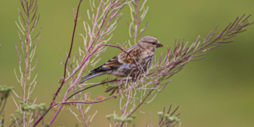 Ekran görüntüsü 2023-07-26 124856