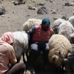 Ekran görüntüsü 2023-07-26 152405