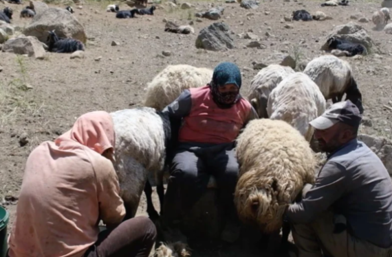 Ekran görüntüsü 2023-07-26 152405