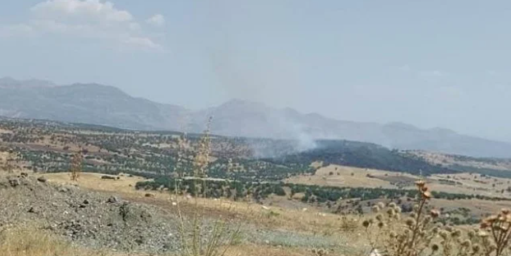 Lice’de orman yangını