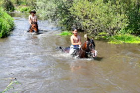 Ekran görüntüsü 2023-07-29 112023