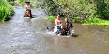 Ekran görüntüsü 2023-07-29 112023