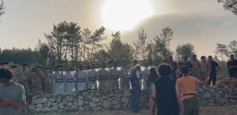 308 kurumdan ortak açıklama: Akbelen’deki ablukayı kaldırın, kesimi durdurun!