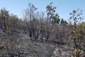 DİYARBAKIR’DA 18 SAATTİR DEVAM EDEN YANGIN KONTROL ALTINA ALINDI