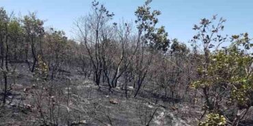 DİYARBAKIR’DA 18 SAATTİR DEVAM EDEN YANGIN KONTROL ALTINA ALINDI