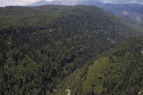 karsta-ormanlik-alanlara-giris-yasagi-getirildi