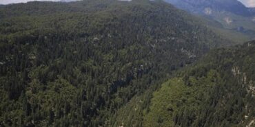 karsta-ormanlik-alanlara-giris-yasagi-getirildi