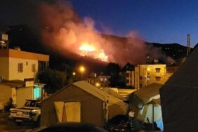 orman-yangini-1320x742