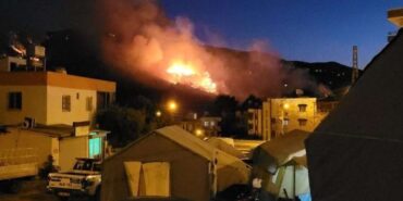 orman-yangini-1320x742