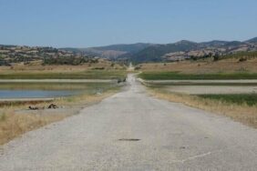 64d341ff50acca572cc059e5-e1691599258978