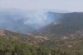 690x390cc-amd-16-08-2023-siirt-agac-kesimi-yangin-rop11