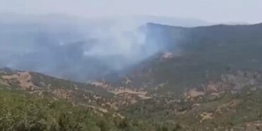 690x390cc-amd-16-08-2023-siirt-agac-kesimi-yangin-rop11