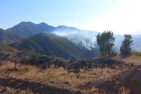 690x390cc-amd-31-07-2023-Lice-yangin