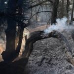 690x390cc-cnkkl-23-08-2023-dokuz-saatte-5-bin-hektar-yandi