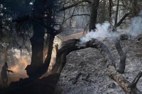 690x390cc-cnkkl-23-08-2023-dokuz-saatte-5-bin-hektar-yandi