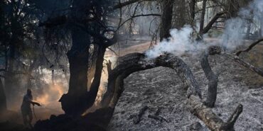 690x390cc-cnkkl-23-08-2023-dokuz-saatte-5-bin-hektar-yandi