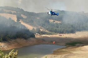 690x390cc-cnkl-30-08-2023-orman-yangini