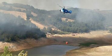 690x390cc-cnkl-30-08-2023-orman-yangini