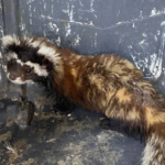 Ekran görüntüsü 2023-08-10 094457