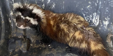 Ekran görüntüsü 2023-08-10 094457