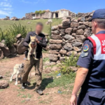 Ekran görüntüsü 2023-08-11 115927