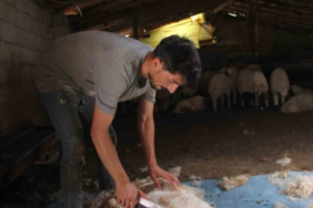 Ekran görüntüsü 2023-08-11 122114