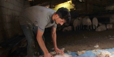 Ekran görüntüsü 2023-08-11 122114