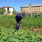 Ekran görüntüsü 2023-08-18 103156