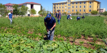Ekran görüntüsü 2023-08-18 103156