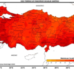 Ekran görüntüsü 2023-08-21 131552