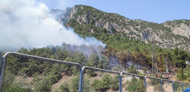 Bilecik ve Tekirdağ’da orman yangını