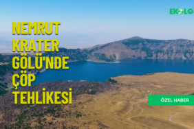 ekoloji post (YouTube Başlığı) (2)