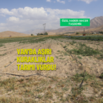 ekoloji post (YouTube Başlığı) (Instagram Gönderisi (Kare)) (2)