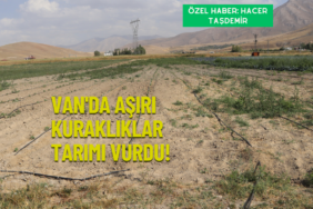 ekoloji post (YouTube Başlığı) (Instagram Gönderisi (Kare)) (2)