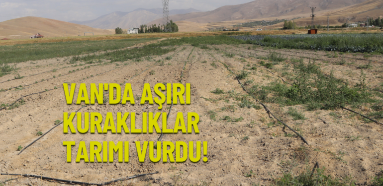 Aşırı kuraklık Van’daki tarımsal üretimi vurdu