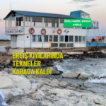 ekoloji post (YouTube Başlığı) (Instagram Gönderisi (Kare)) (3)